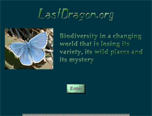 Tablet Screenshot of lastdragon.org